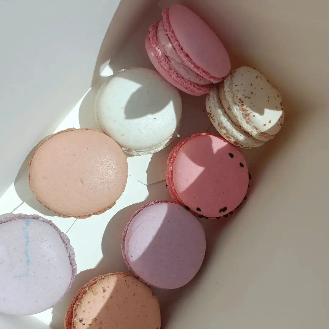 Les macarons Hottekiet | vitrine