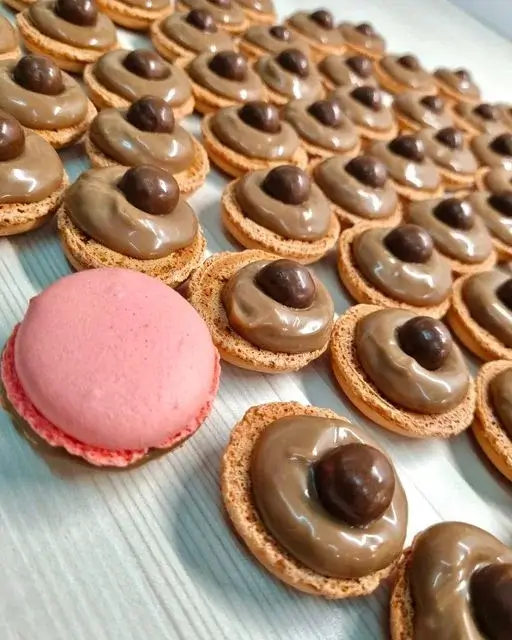 Les macarons Hottekiet | fabrication macarons céréale croustillante