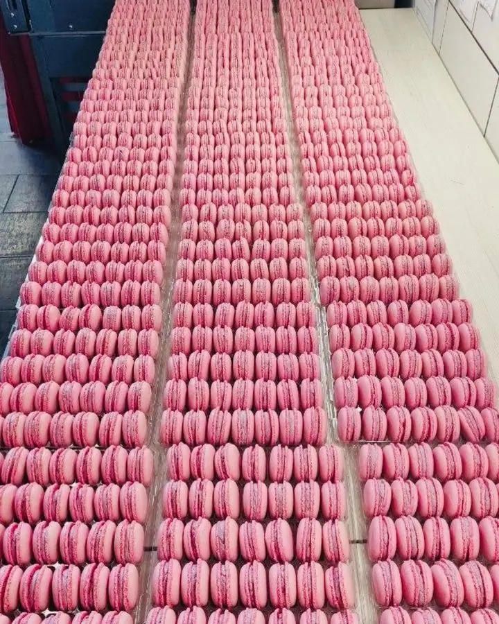 Les macarons Hottekiet | macaron rose