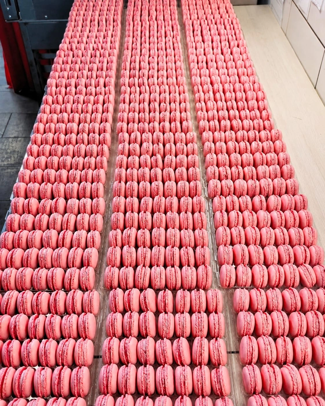 Les macarons Hottekiet | macaron rose