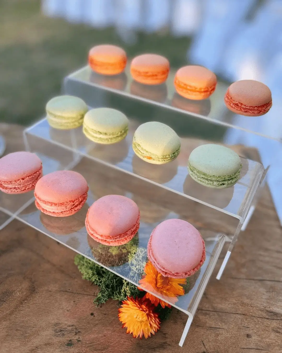 Les macarons Hottekiet | présentation macaron