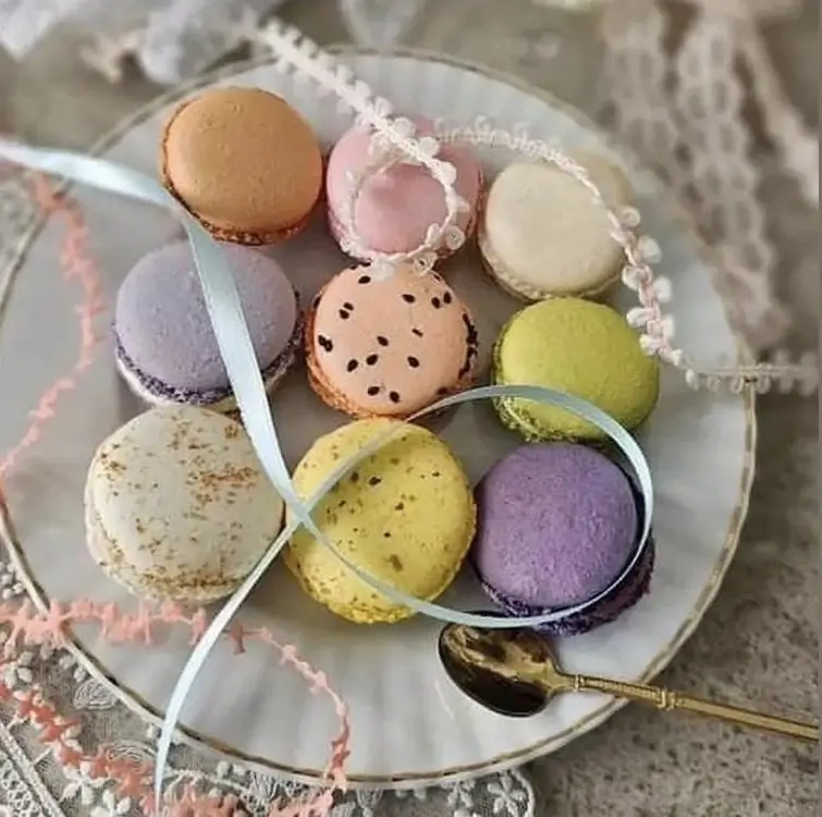 Les macarons Hottekiet | macarons présentation