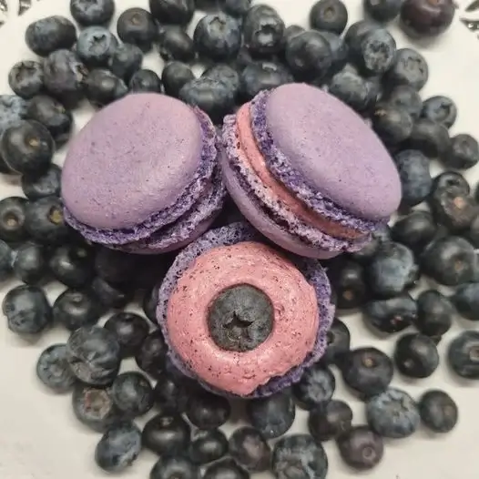 Les macarons Hottekiet | présentation macaron myrtille